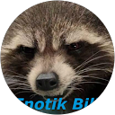 Enotik Bill profile picture